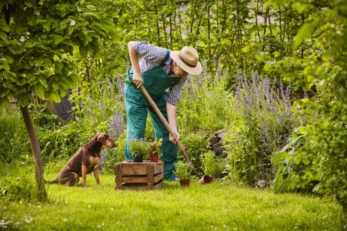 Ongoing gardening services in Belvedere for residential and commercial properties