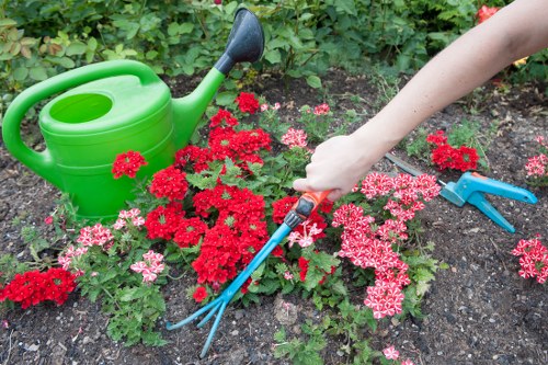 Gardeners Belvedere local garden care and landscaping service