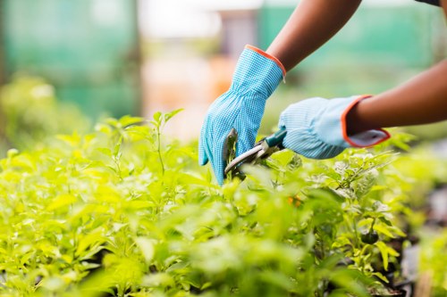 Resolving a landscaping service issue