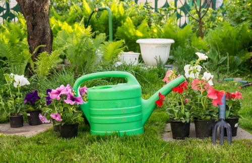 Seasonal garden care in Belvedere with planting and lawn upkeep