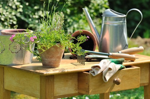 Professional lawn care services for Belvedere properties