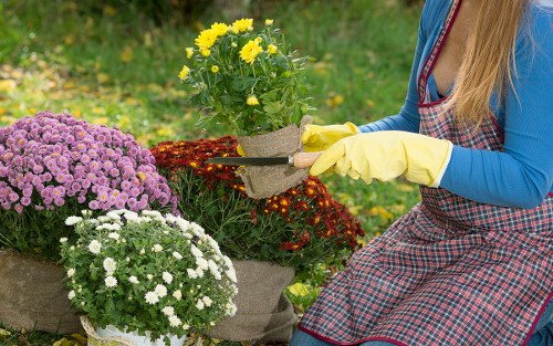 A garden team maintaining tidy and hazard-free workspaces