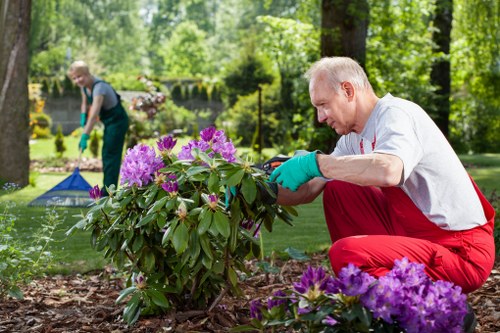 Well-kept Belvedere garden showing professional maintenance and healthy plants