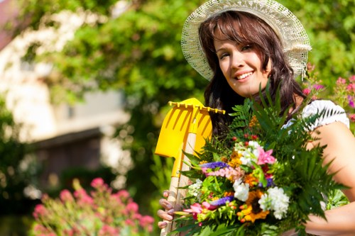 Safe outdoor gardening service with insured Belvedere gardeners