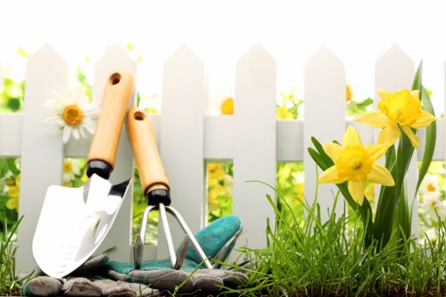 Professional hedge trimming in Belvedere for healthy boundary hedges