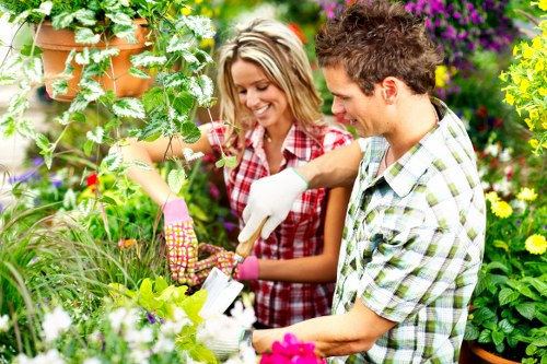 Free quote policy for gardeners in Belvedere