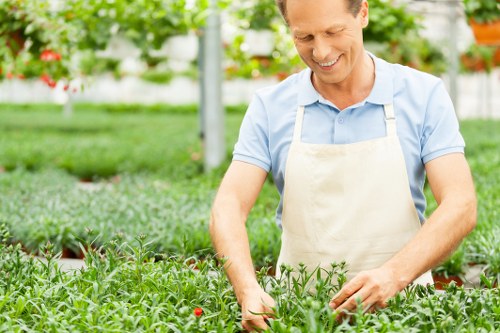 Annual review of anti-slavery controls for Gardeners Belvedere