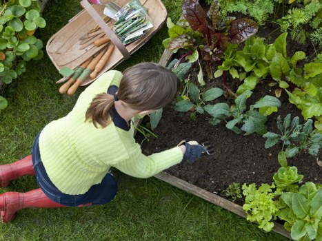 Supplier audit and compliance review in garden services