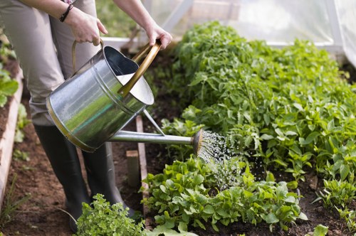 Well-kept outdoor space showing regular garden maintenance in Belvedere