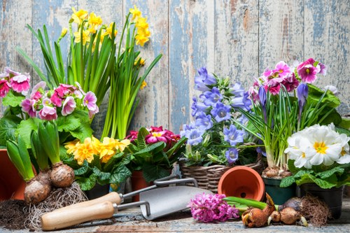 Local garden care in Belvedere creating a tidy and attractive outdoor space