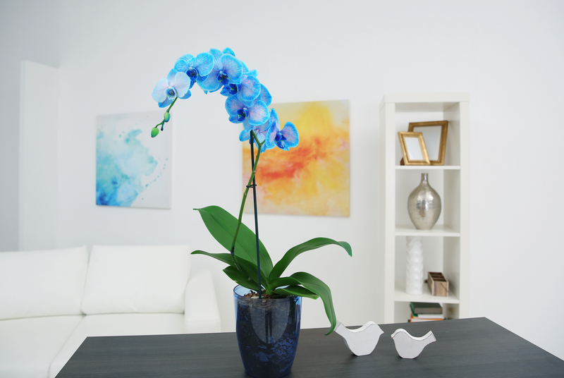 Garden design Garden